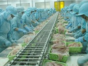 Tự do hóa thương mại có thể khiến phụ nữ trì hoãn kết hôn và sinh con